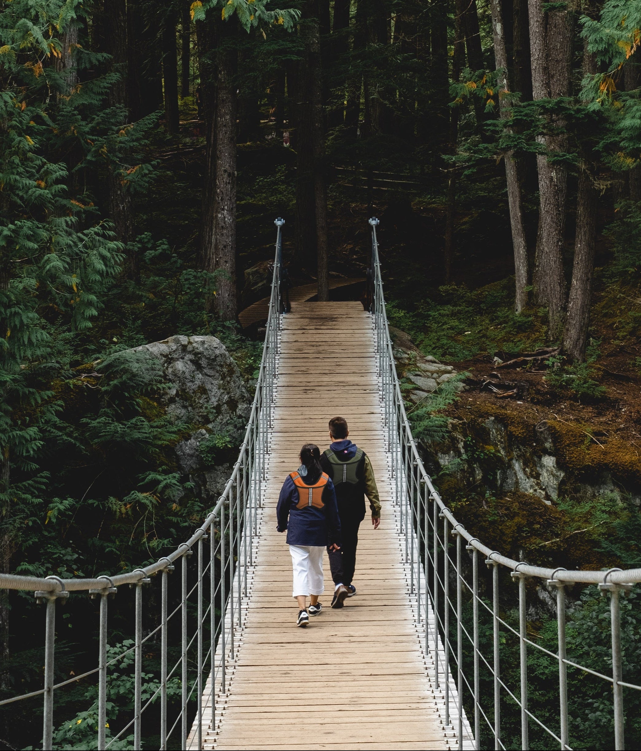 Two people walking on a suspension bridge in a dense forest